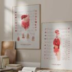 Digestive System and Gastrointestinal Tract Structure anatomy chart for clinics