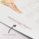 Reflexology Chart Set with Feet, Hand and Ear