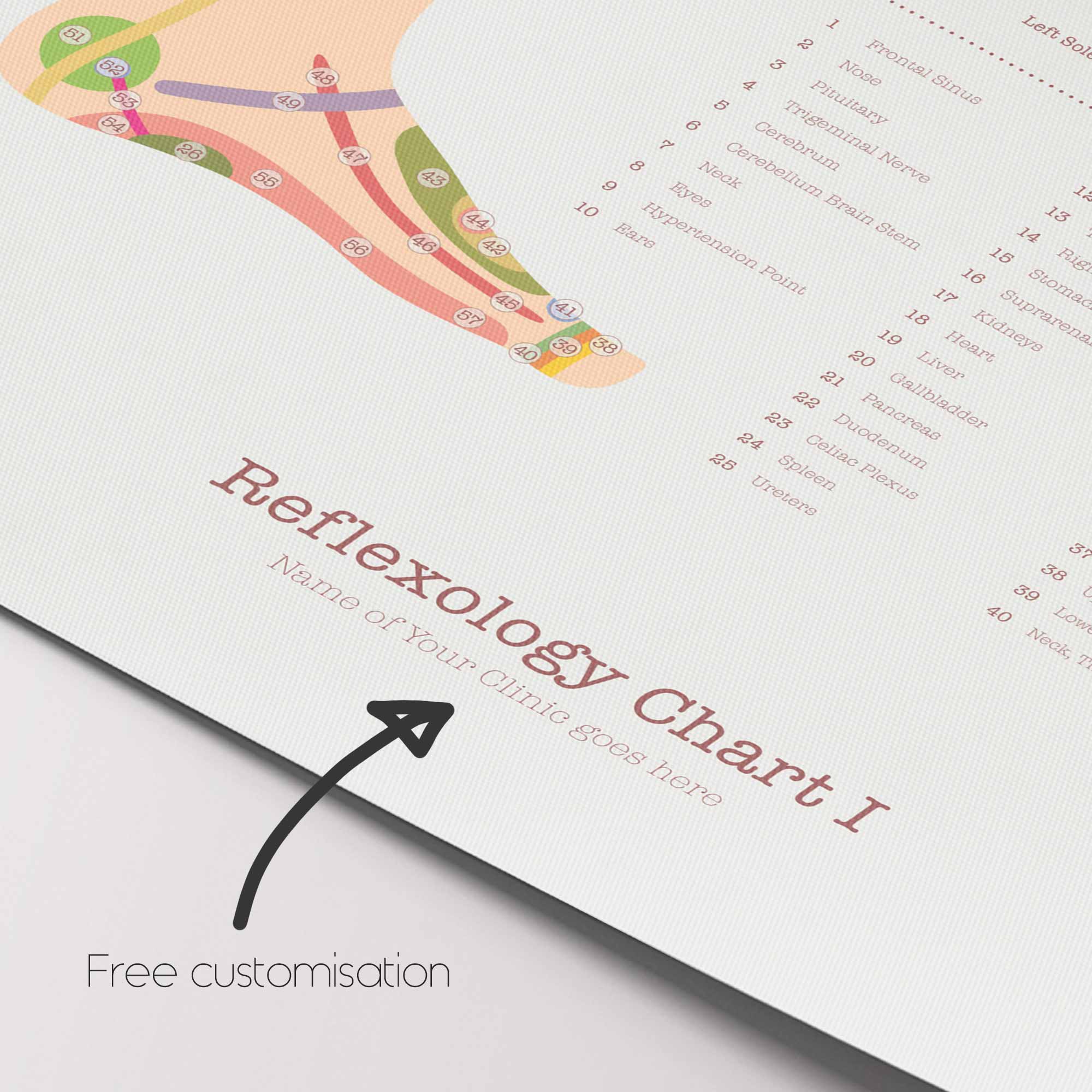 Reflexology Chart Set with Feet, Hand and Ear