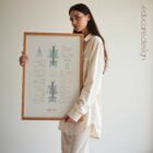 Scoliosis and Musculoskeletal Disorders anatomy chart for clinics