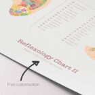 Reflexology Chart Set with Feet, Hand and Ear