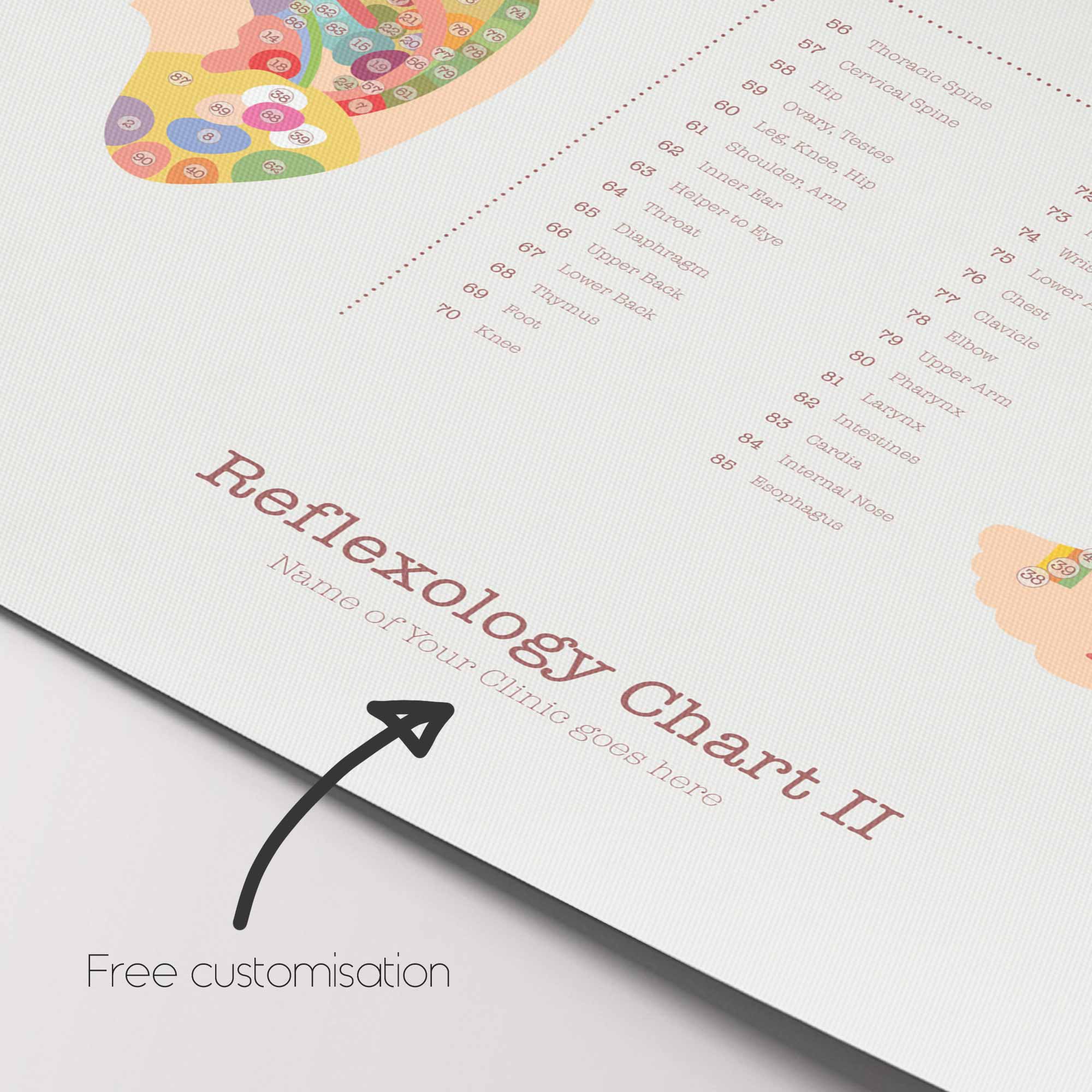 Reflexology Chart Set with Feet, Hand and Ear