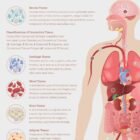 Neural Tissue and Cells anatomy chart for clinics