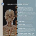 PRRT: One Minute NociceptivExam™ anatomy chart for clinics