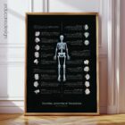Bursitis, Arthritis and Tendonitis anatomy chart for clinics