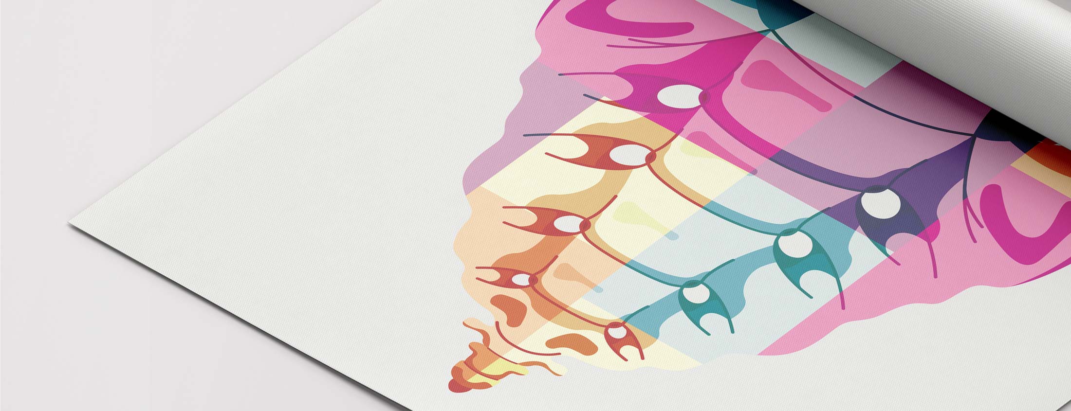 Our Creative Playground of Pop Art Anatomy