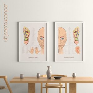 Acupuncture Chart