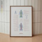 Skoliose und Muskuloskelettale Erkrankungen Anatomie-Chart für Praxen und Kliniken