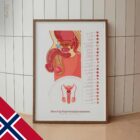 Mannlige Reproduktive Systemet anatomidiagram for klinikker