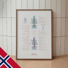 Skoliose og Muskuloskeletale Lidelser anatomidiagram for klinikker