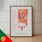 Sistema Reprodutor Feminino diagrama anatómico para clínicas e consultórios