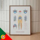 Mecanismo da Ciática diagrama anatómico para clínicas e consultórios