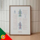 Escoliose e Distúrbios Musculoesqueléticos diagrama anatómico para clínicas e consultórios