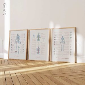 Anatomy Set on sale