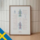 Skolios och Muskuloskeletala Besvär anatomidiagram för kliniker