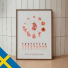 Fosterutvecklingens Stadier anatomidiagram för kliniker