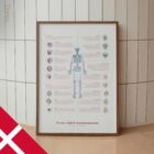 Bursitis, Artritis og Tendinitis anatomidiagram til klinikker