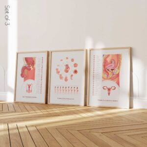 Reproductive Health Set