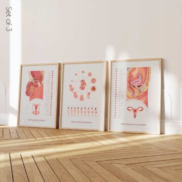 Ensemble de Santé Reproductive