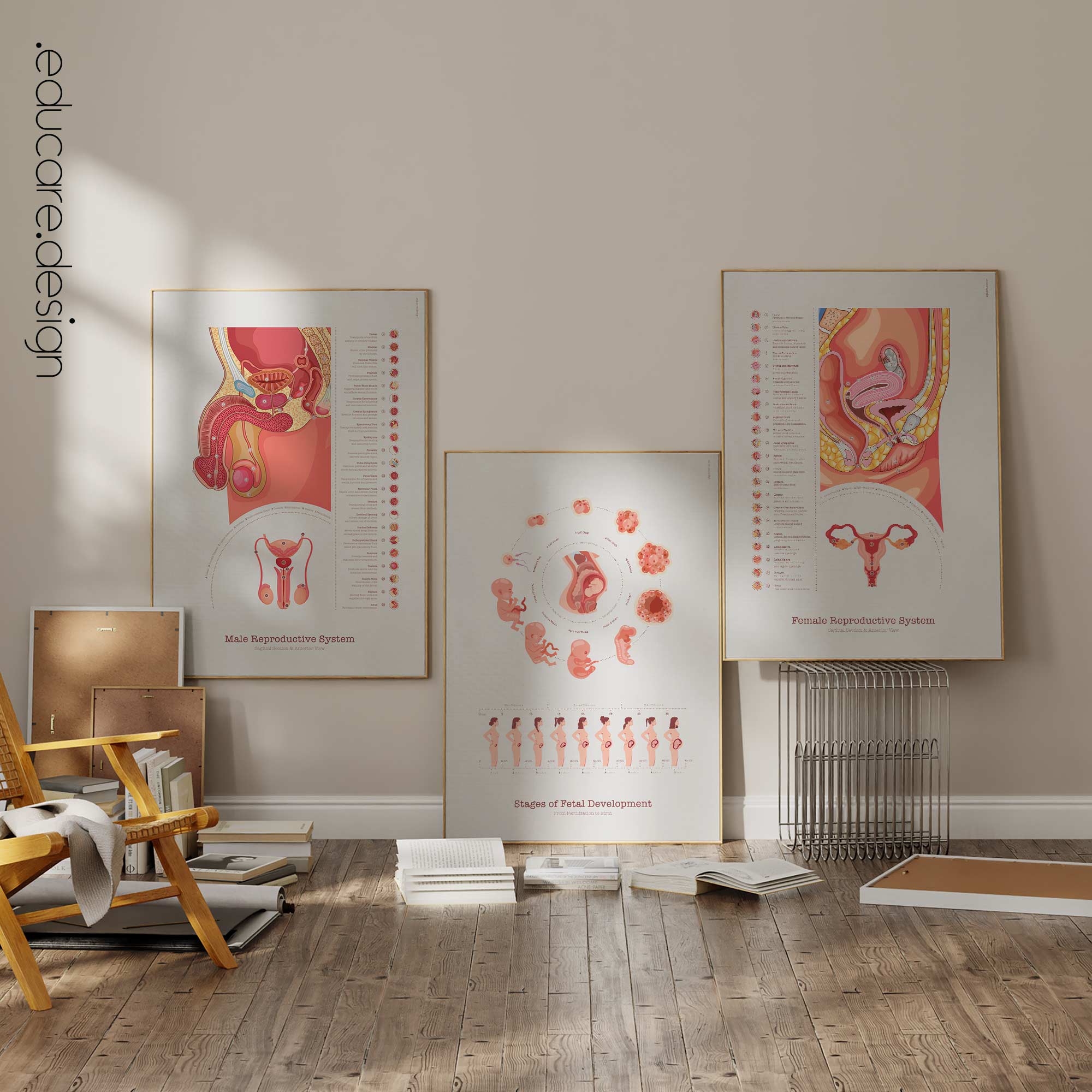 Reproductive Health Set