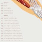 Foot, Knee and Hand Anatomy Set anatomy chart for clinics