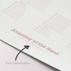 Foot, Knee and Hand Anatomy Set anatomy chart for clinics