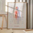 Fibromyalgia with Hormonal and Nervous System Connections