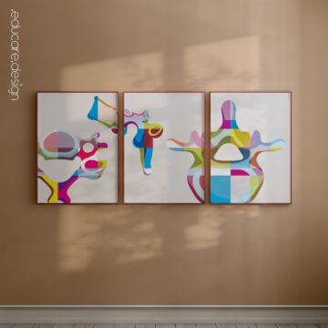 Set de anatomía PopArt Vertebrae de www.educare.design