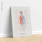 Fibromyalgia with Hormonal and Nervous System Connections