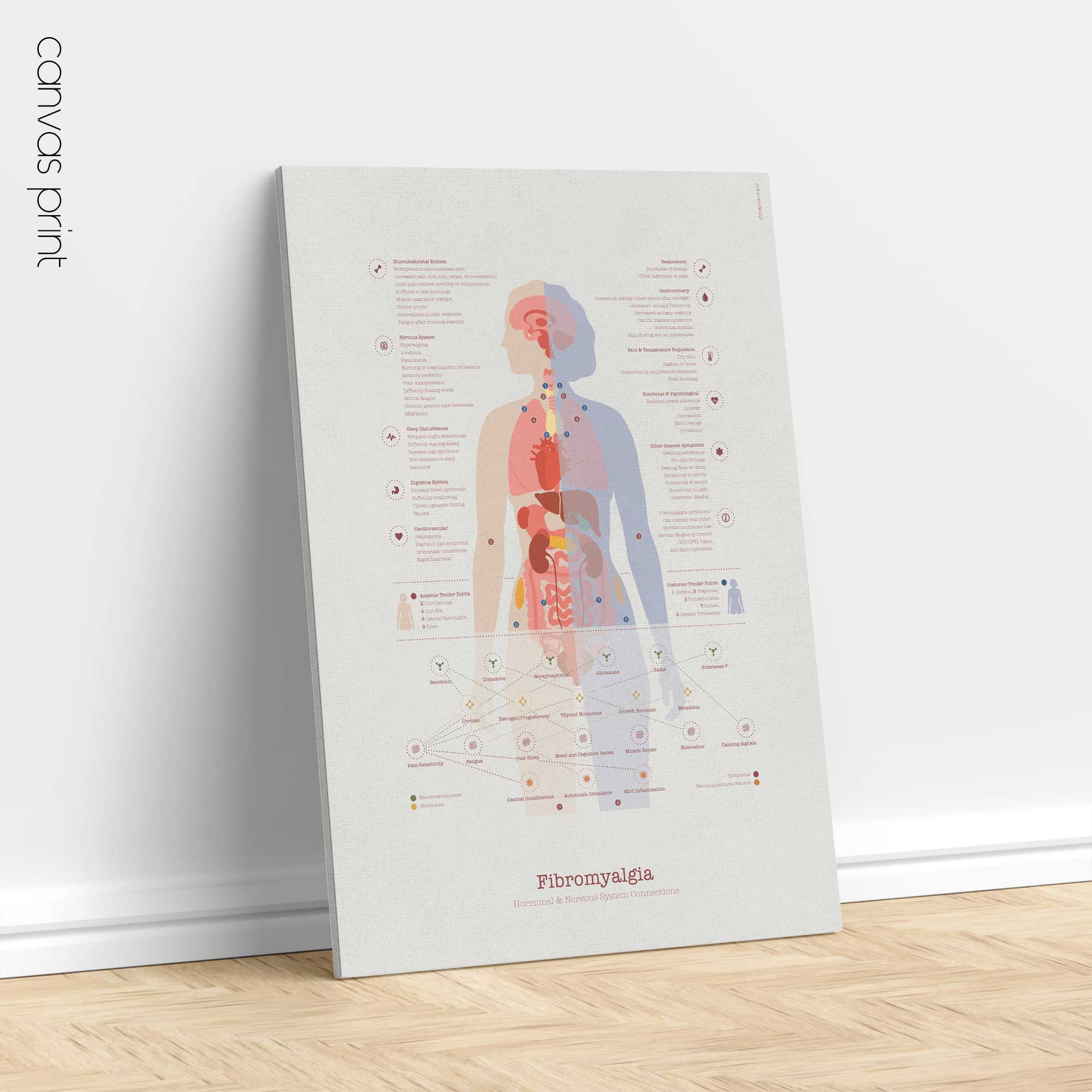 Fibromyalgia with Hormonal and Nervous System Connections