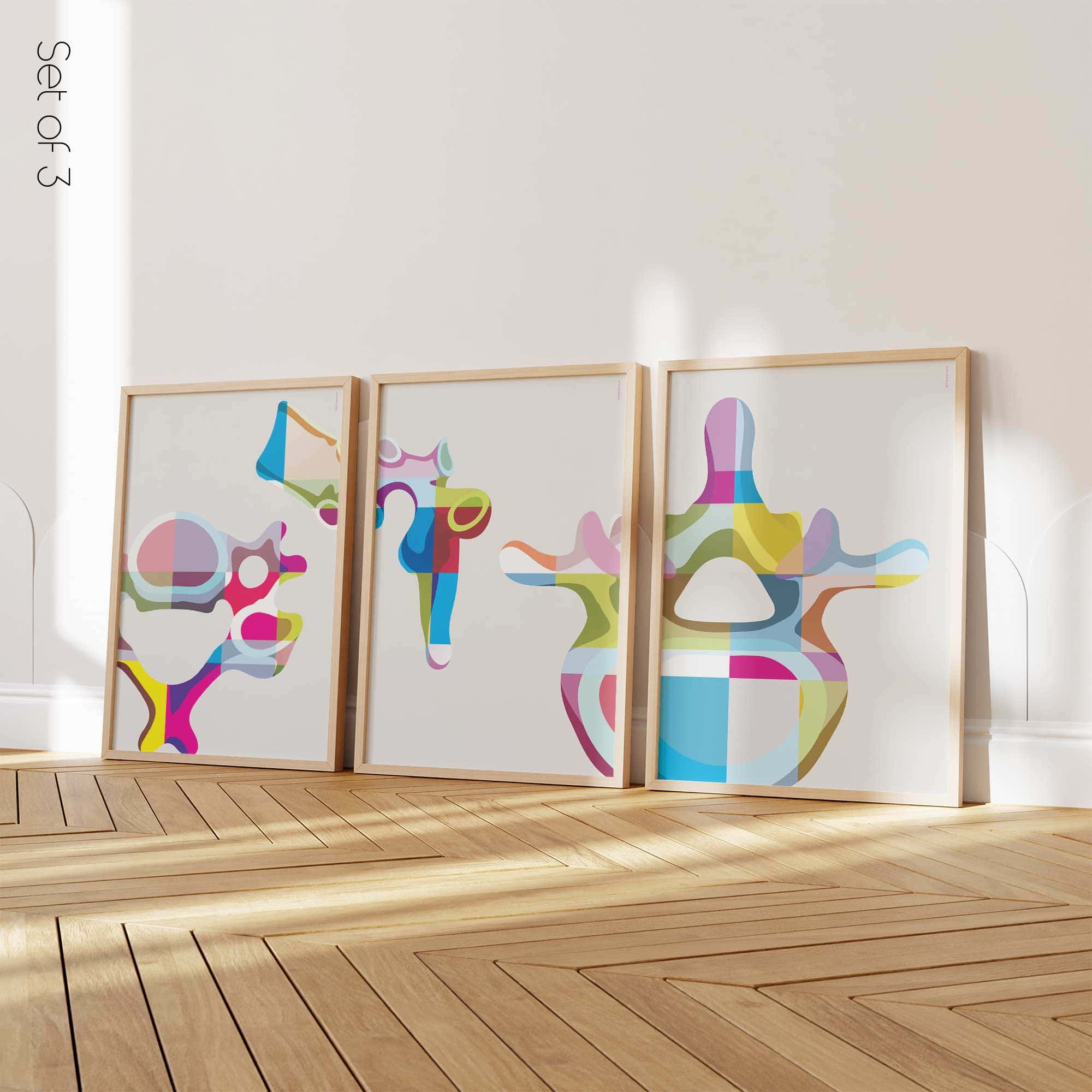 Set di Anatomia PopArt delle Vertebre da www.educare.design