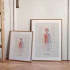 Fibromyalgia with Hormonal and Nervous System Connections