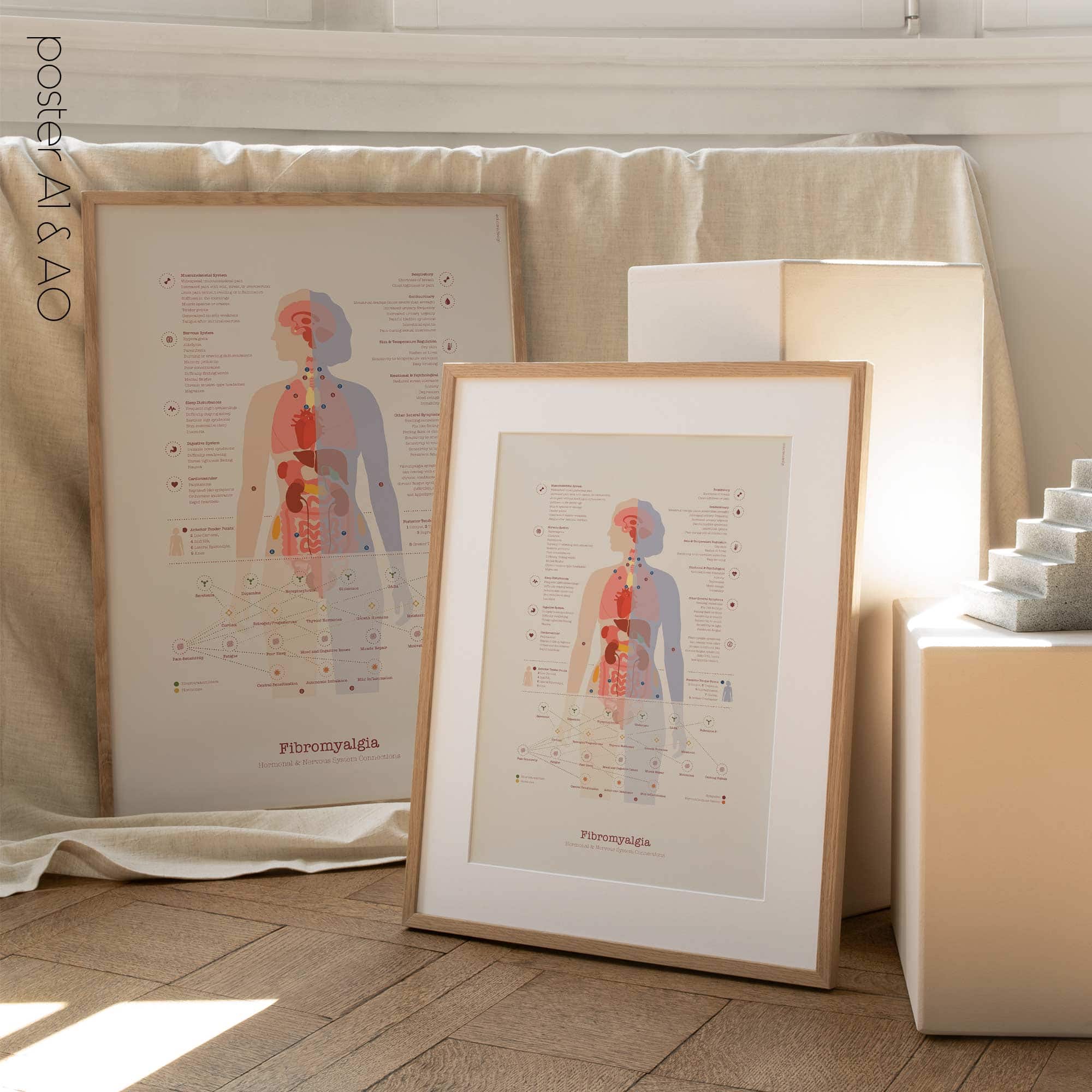 Fibromyalgia with Hormonal and Nervous System Connections