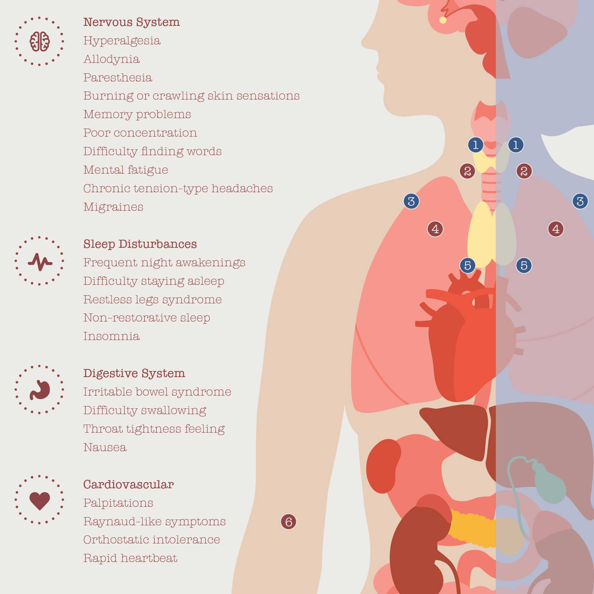 Fibromyalgia with Hormonal and Nervous System Connections