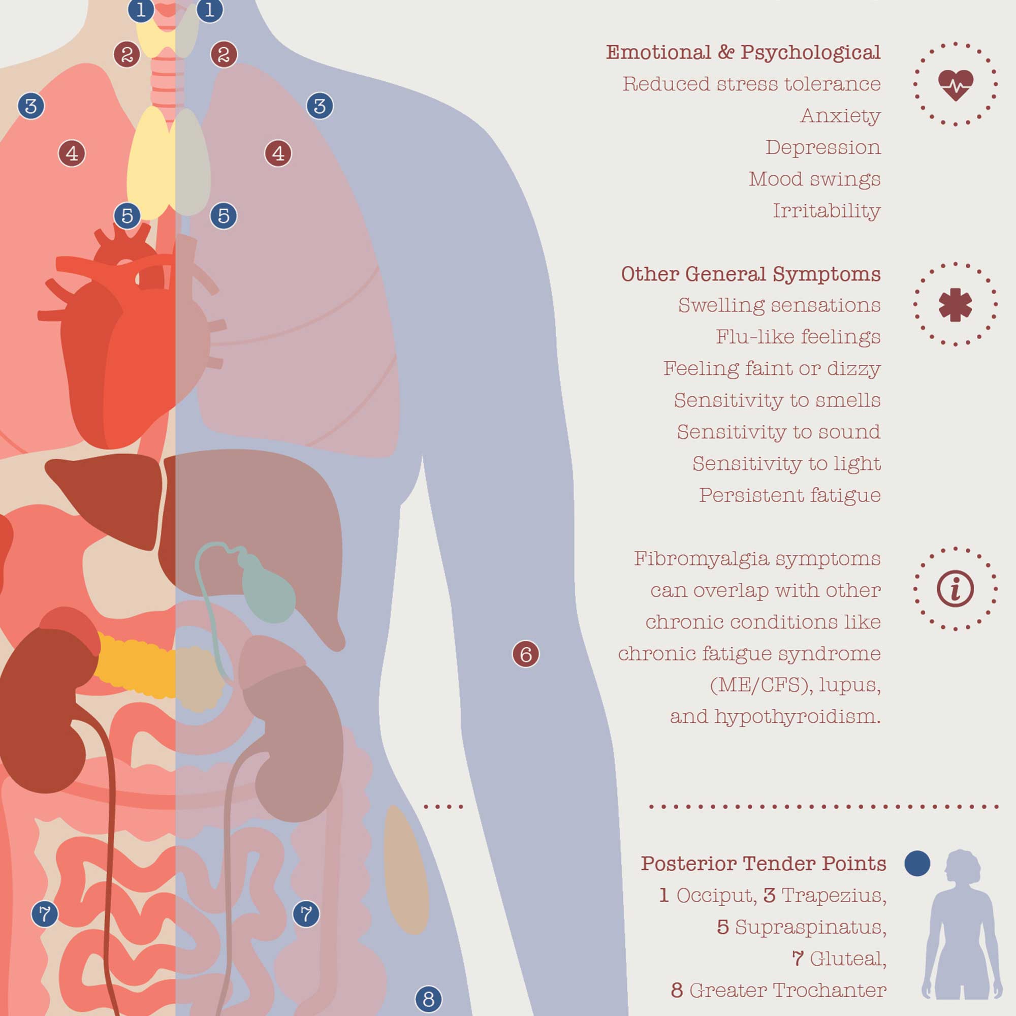 Fibromyalgia with Hormonal and Nervous System Connections