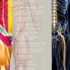 Spinal Nerves Set anatomy chart for clinics