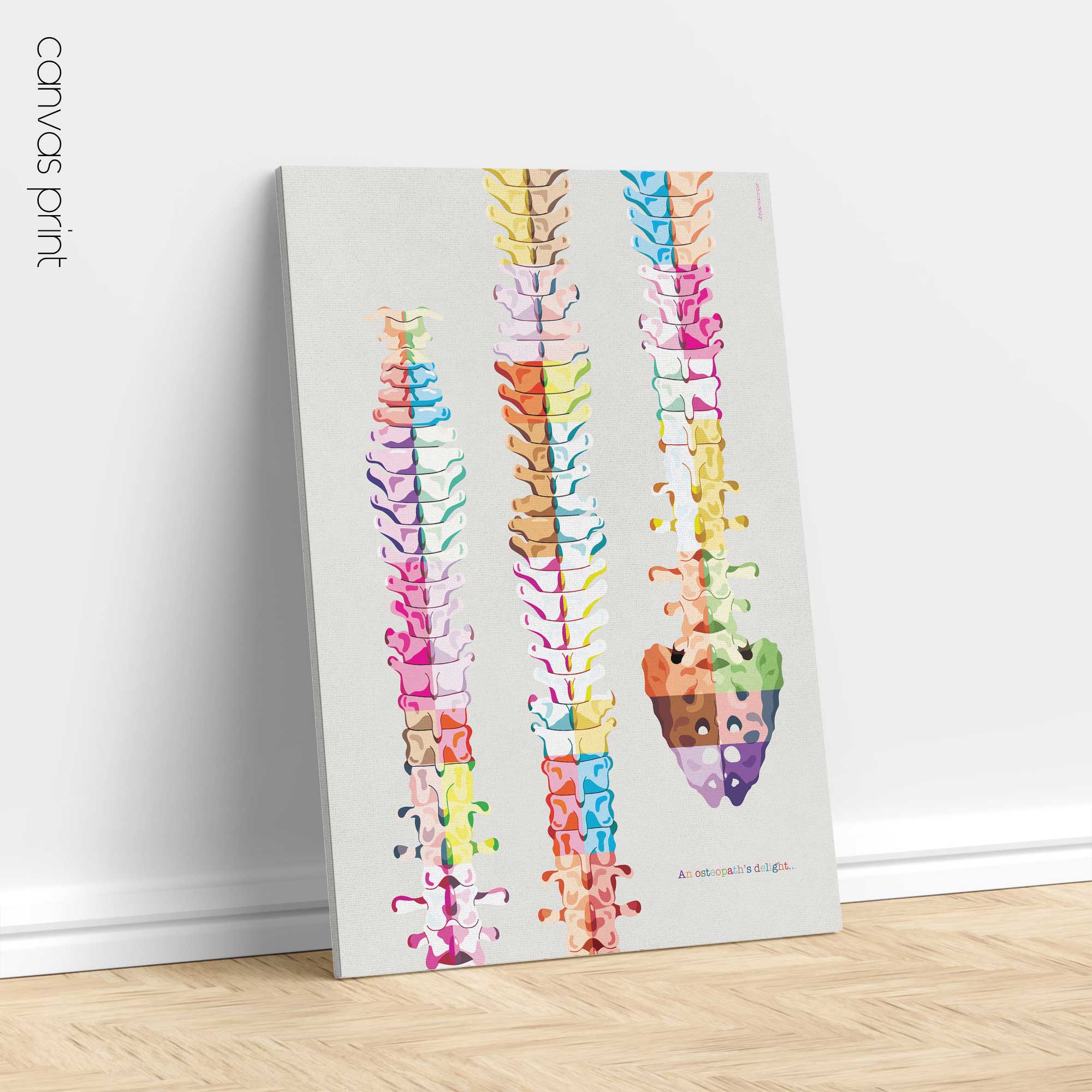 An Osteopaths Delight!