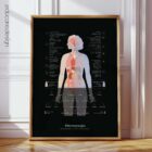 Fibromyalgia with Hormonal Nervous System Connections, Black Edition