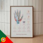 Síndrome do Túnel Cárpico com Diagnóstico e Exercícios diagrama anatómico para clínicas e consultórios