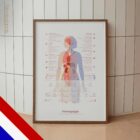 Fibromyalgia with Hormonal and Nervous System Connections