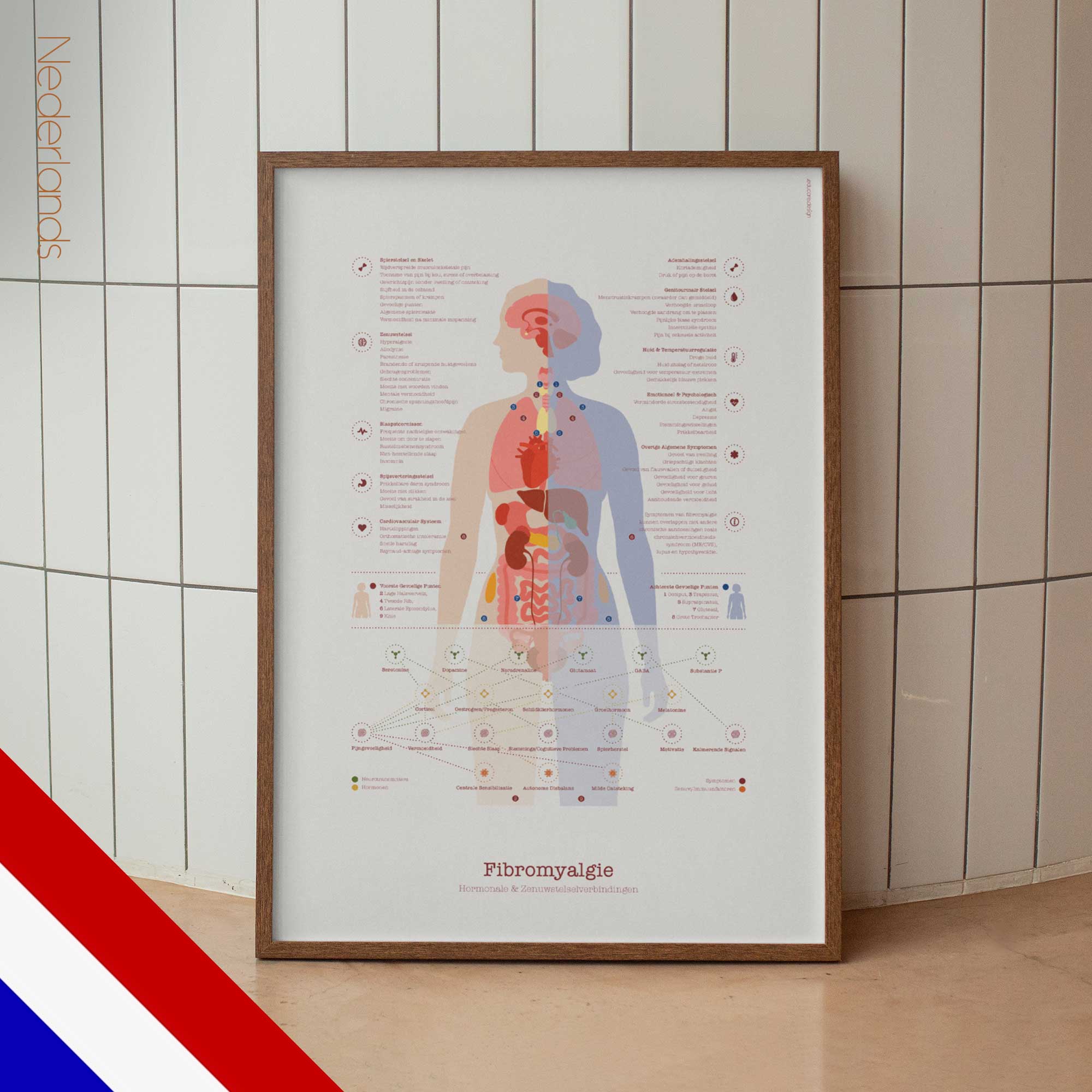 Fibromyalgia with Hormonal and Nervous System Connections