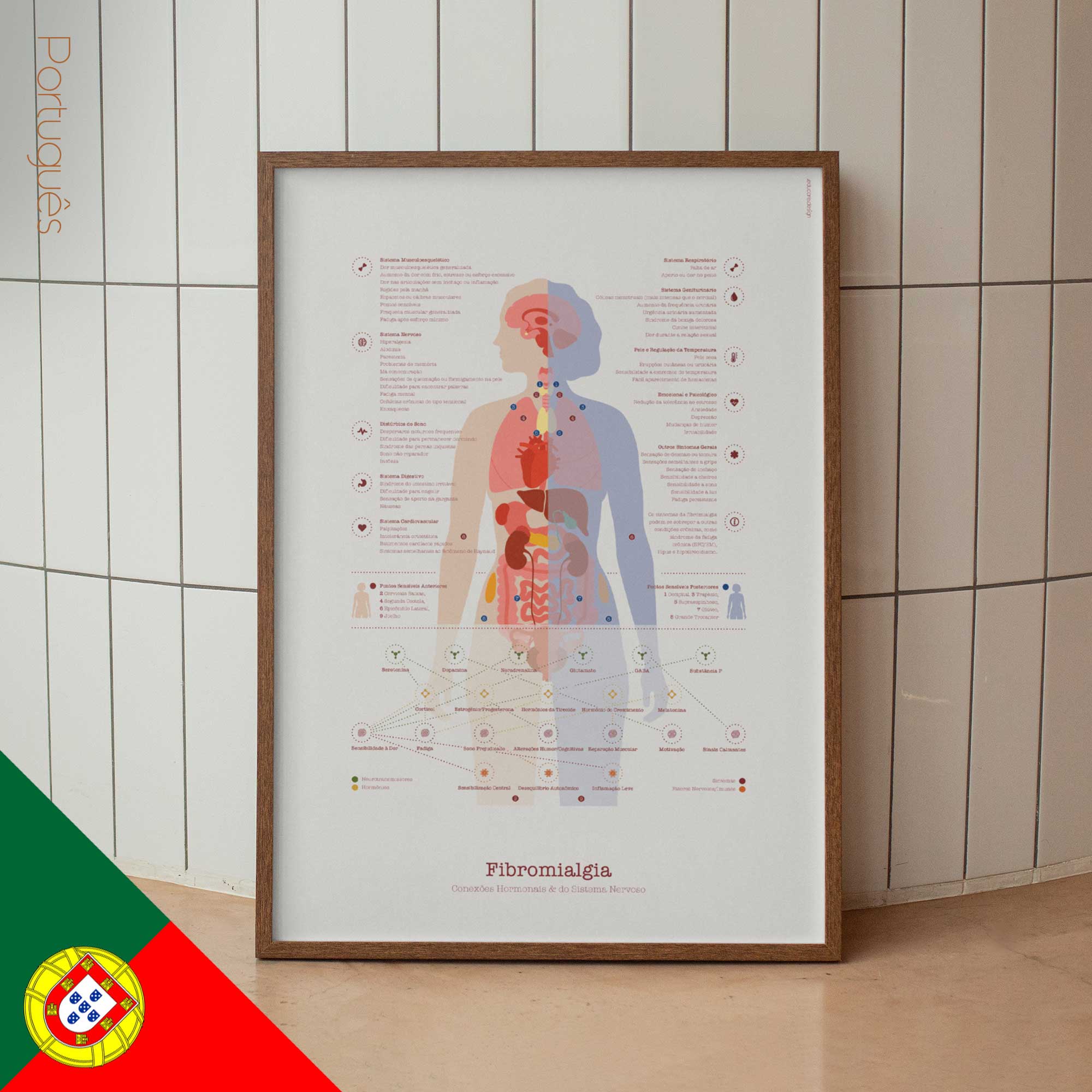 Cranial Nerves and Vestibular System