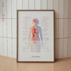 Fibromyalgia with Hormonal and Nervous System Connections