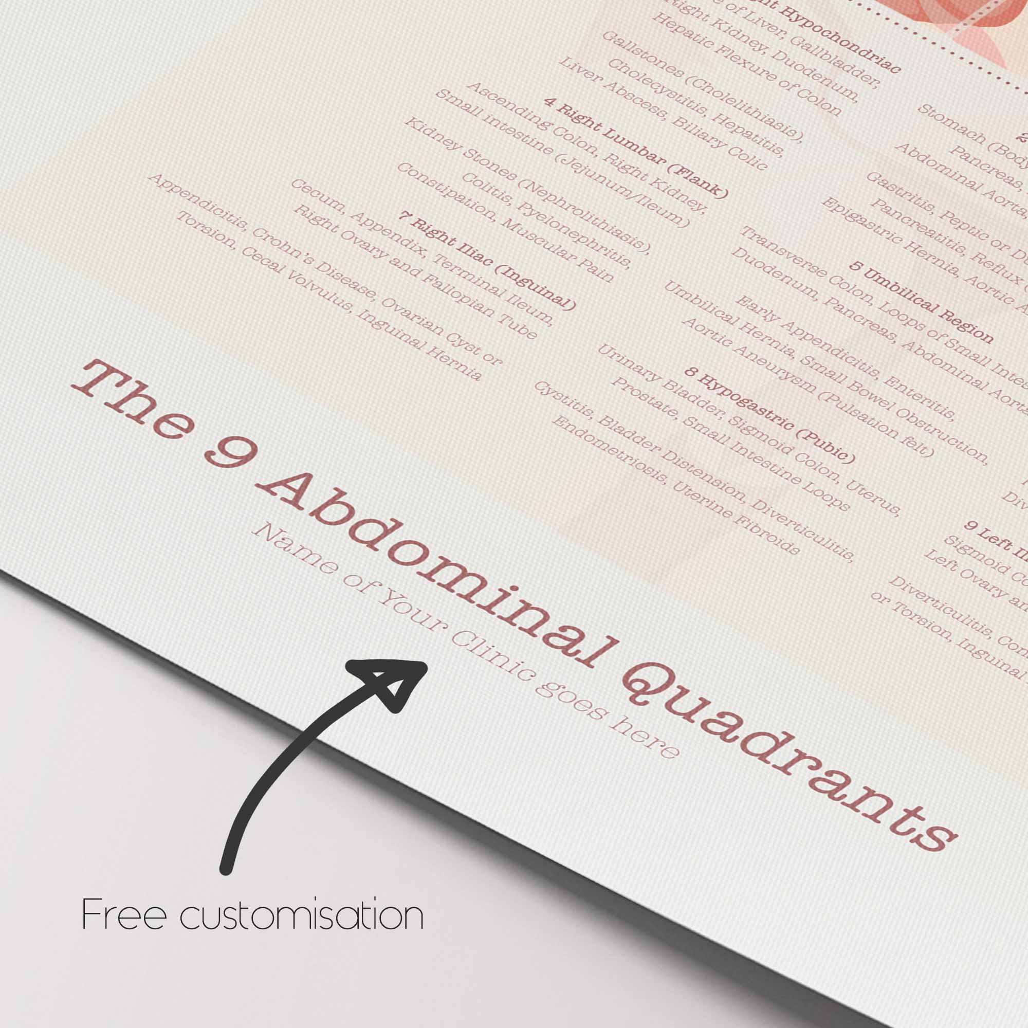 Drip Quadrant The 9 Abdominal Quadrants Anatomy Chart » educare.design