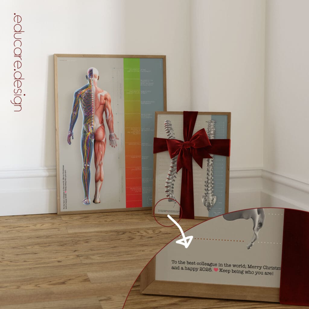 13 poster gift – Premium Anatomy Chart by educare.design