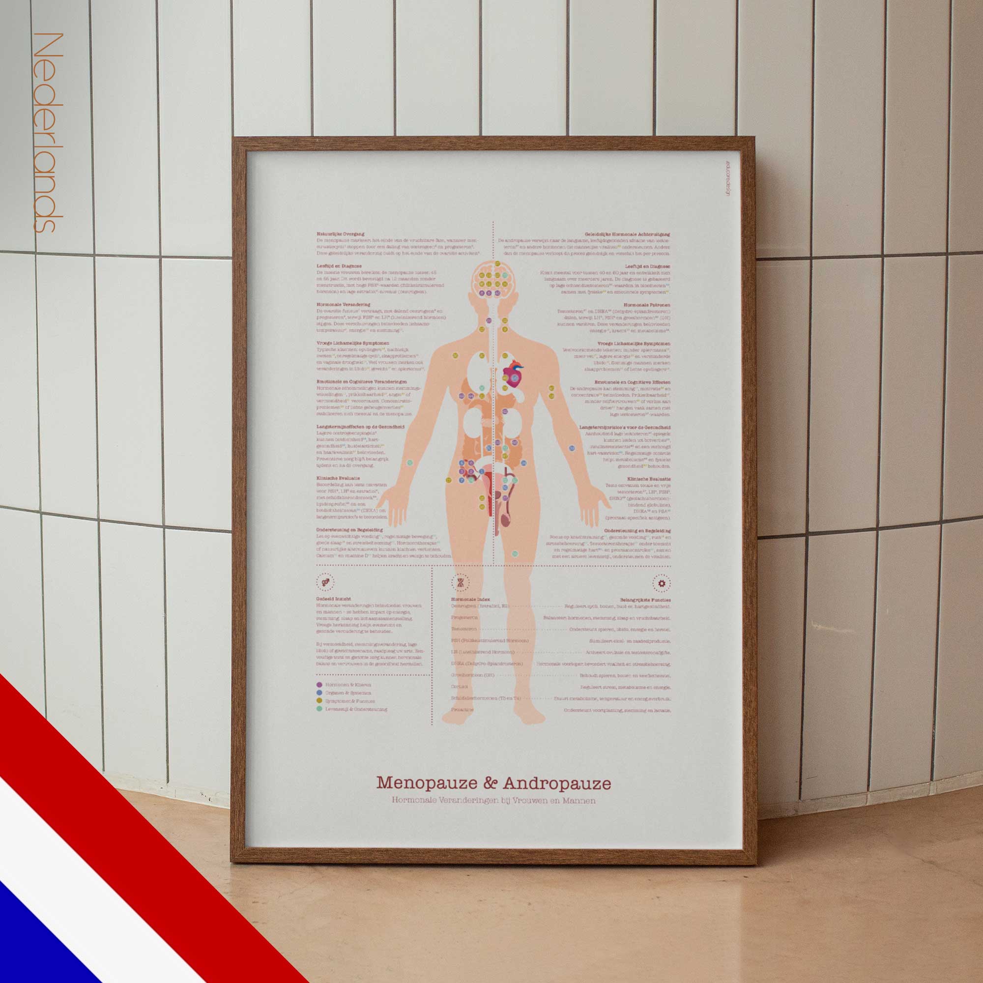 Menopause Andropause dutch