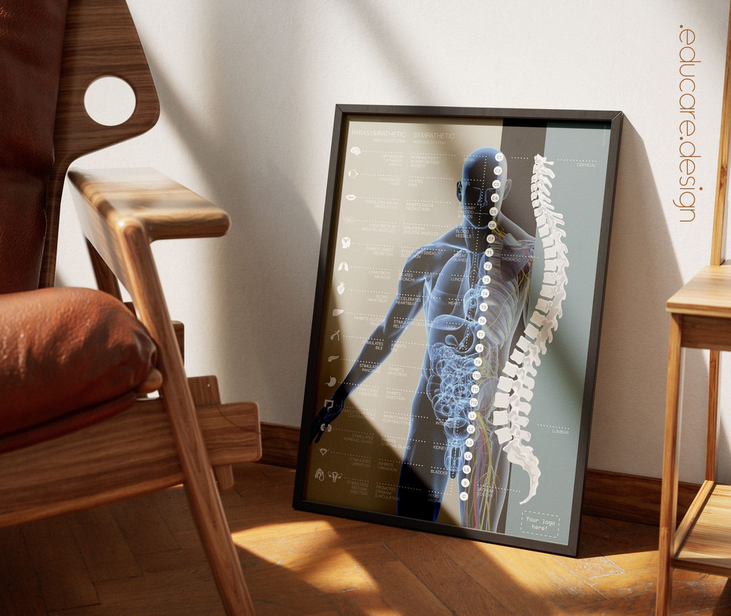 Understanding the Autonomic Nervous System