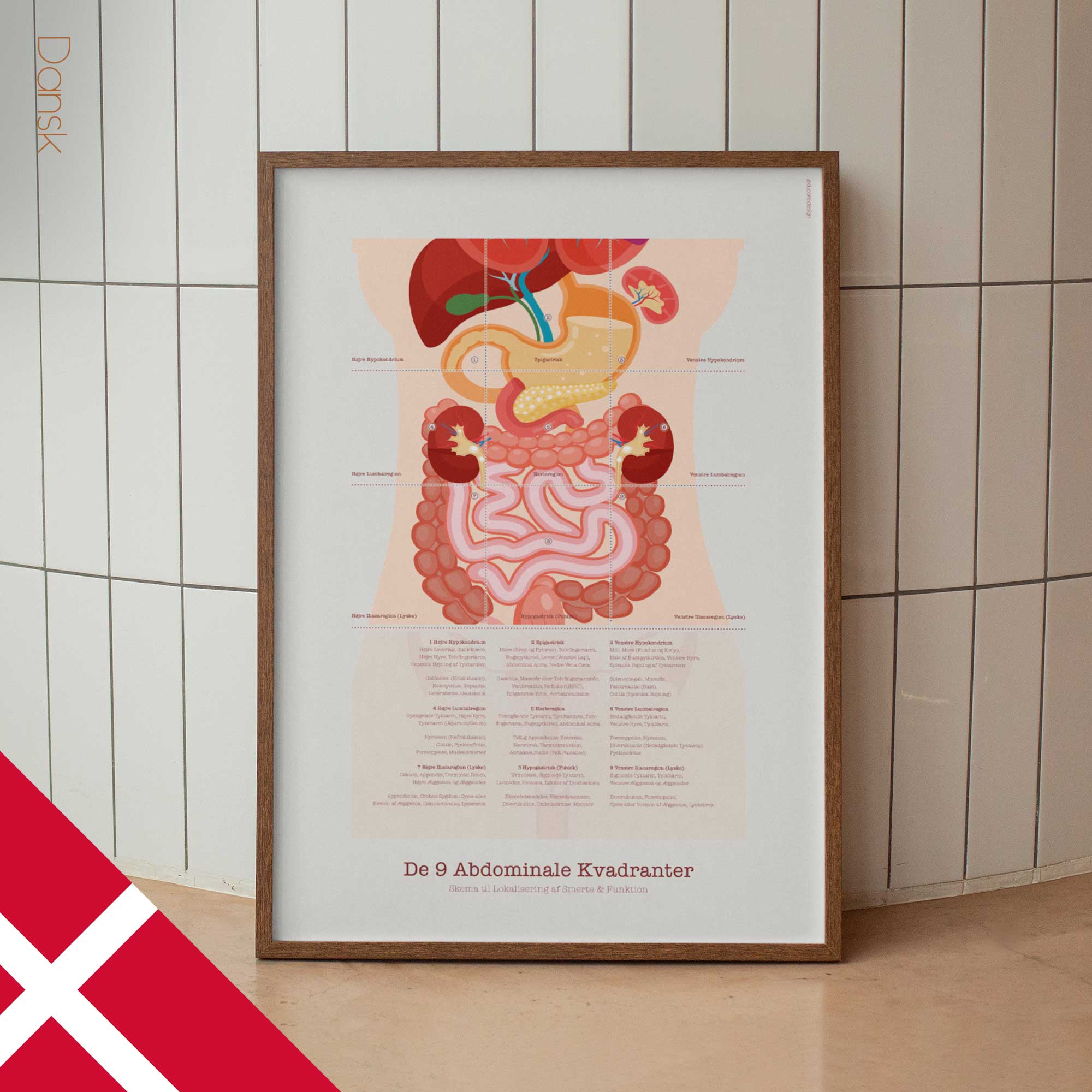 De 9 Abdominale Kvadranter anatomidiagram til klinikker