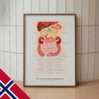 De 9 Abdominale Kvadrantene anatomidiagram for klinikker