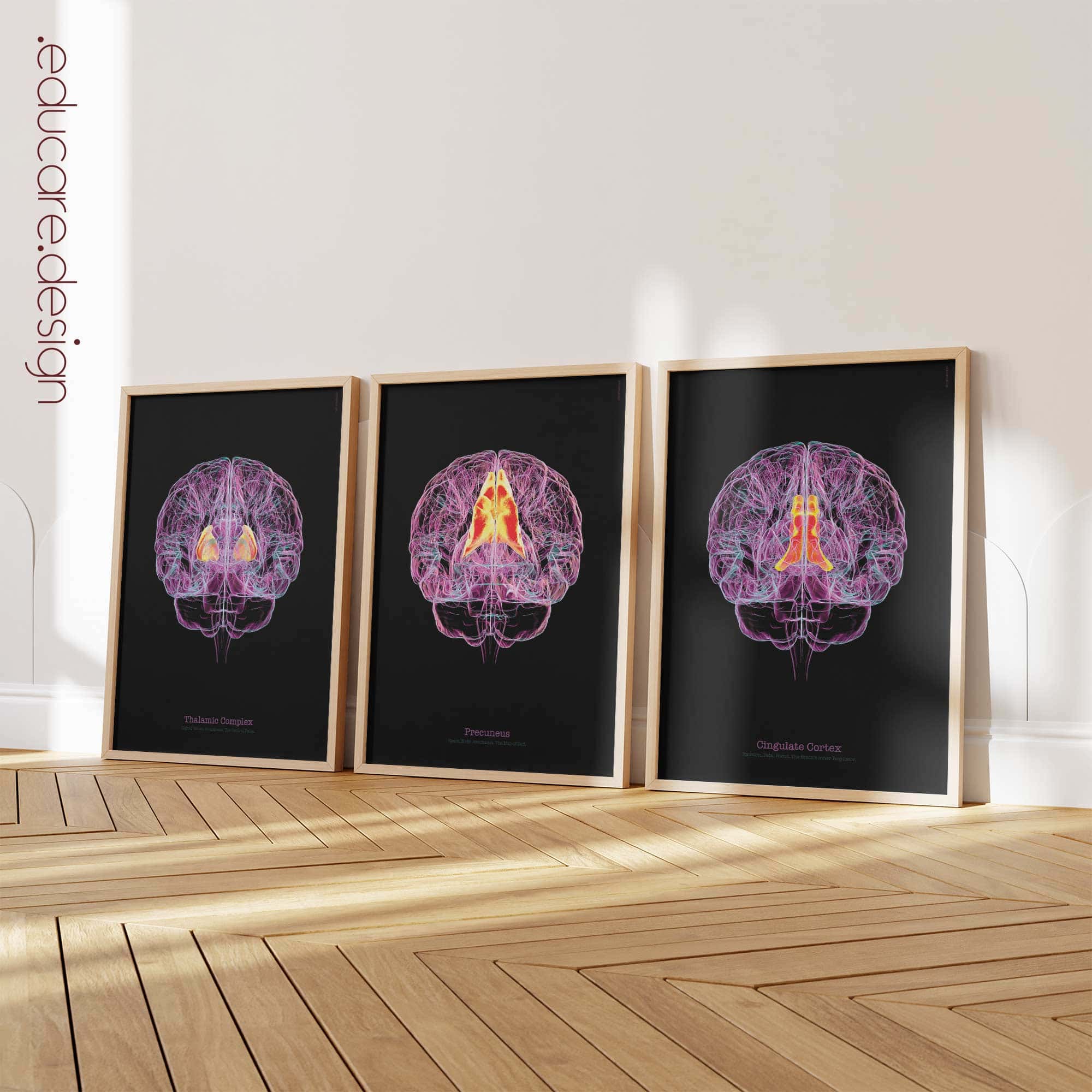 Cerebral Trilogy anatomy chart for clinics Cerebral Trilogy anatomy chart for clinics